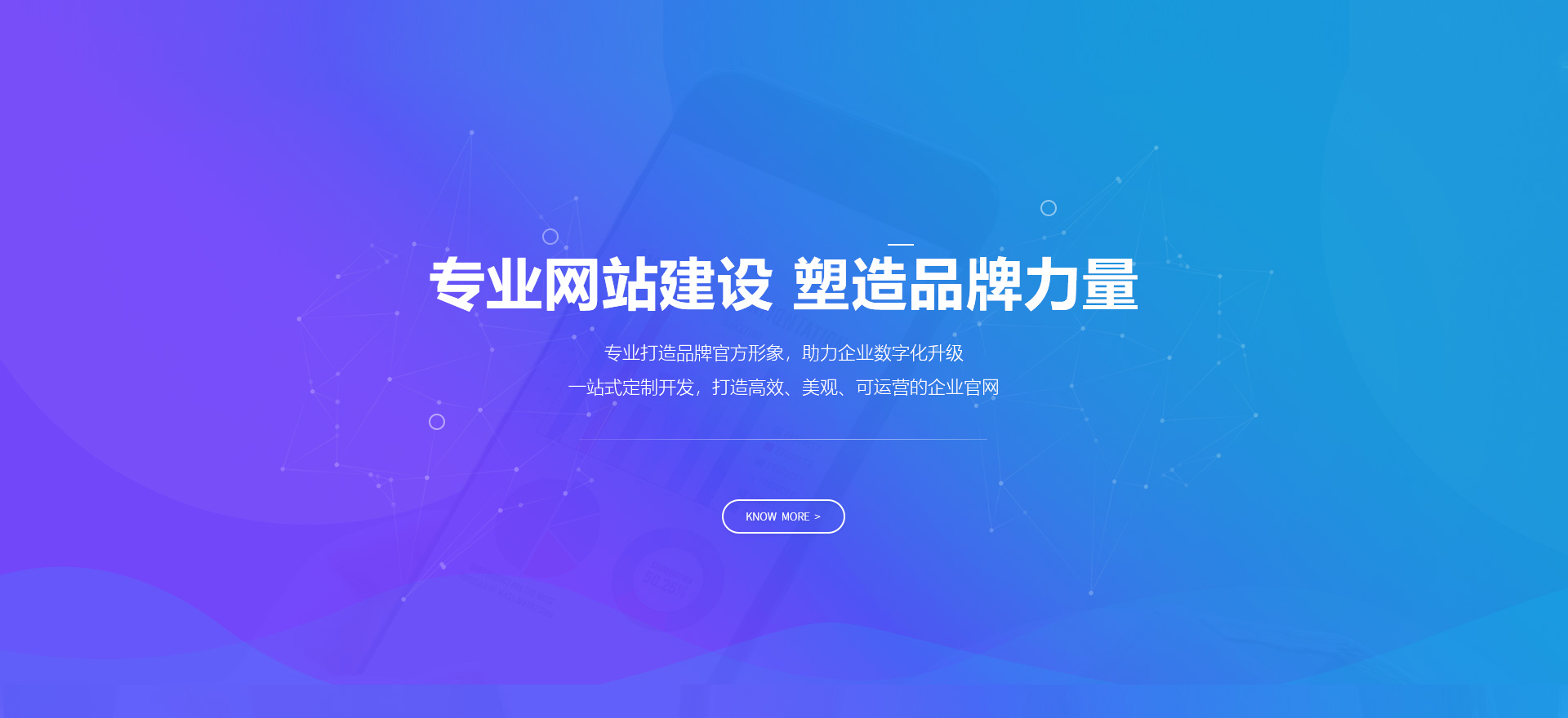 八公山建站-专业网站建设 塑造品牌力量