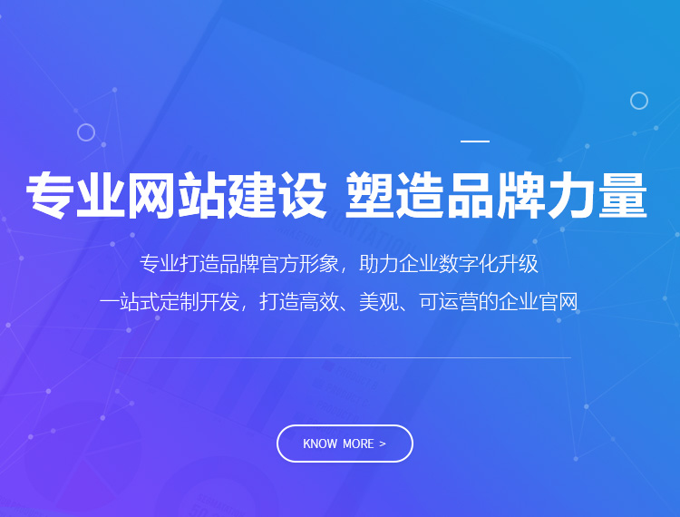 八公山建站-专业网站建设 塑造品牌力量